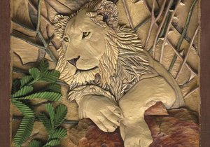 LionAid & michaelswanepoel.com Fundraising Initiative